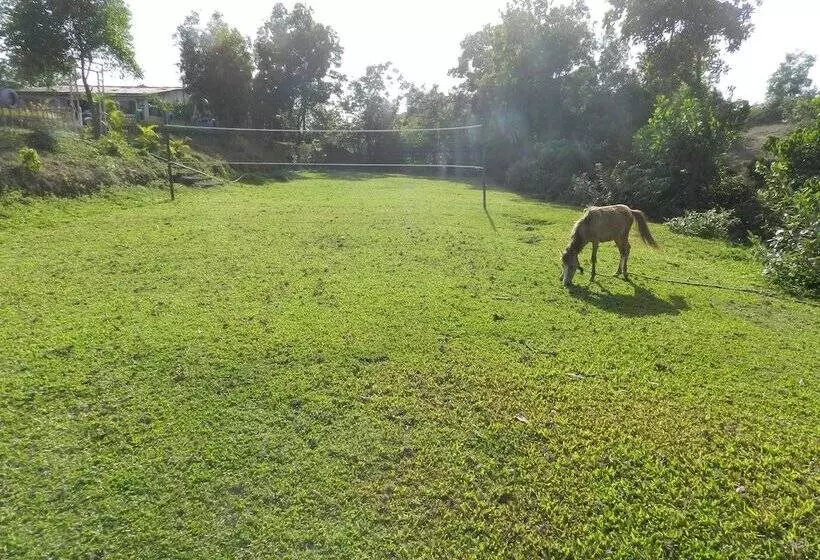 Sawai Mansing Hill Resort