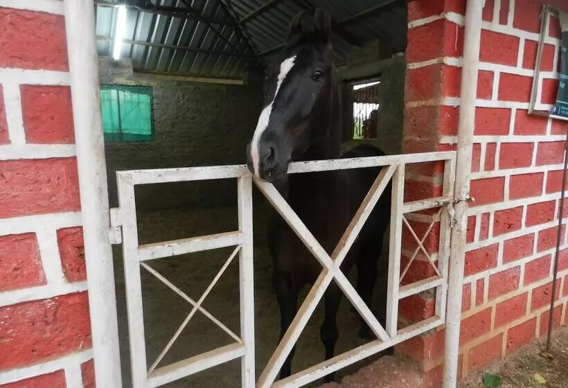 Sawai Mansing Hill Resort