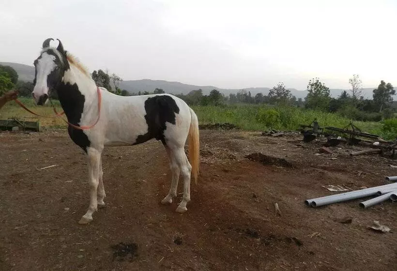 Sawai Mansing Hill Resort