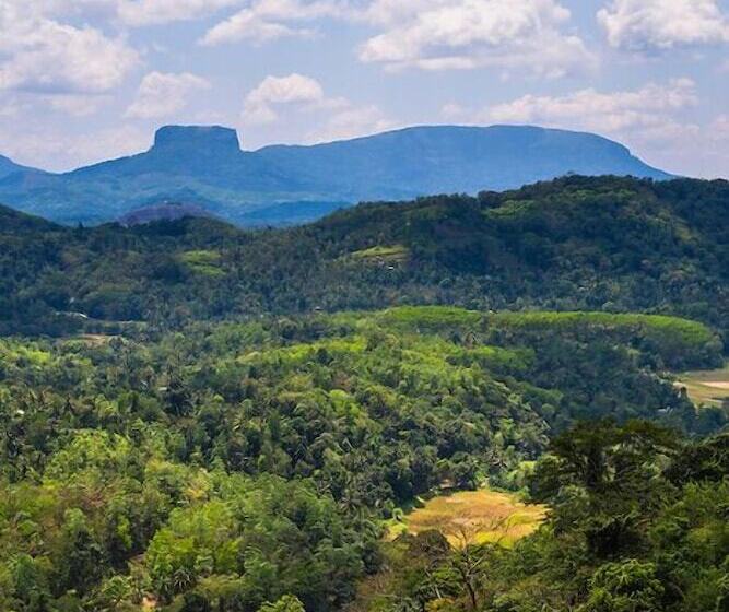 Green Tulip Hotel Kandy