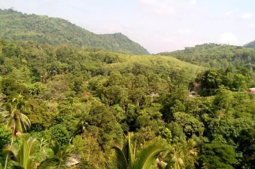 Green Tulip Hotel Kandy