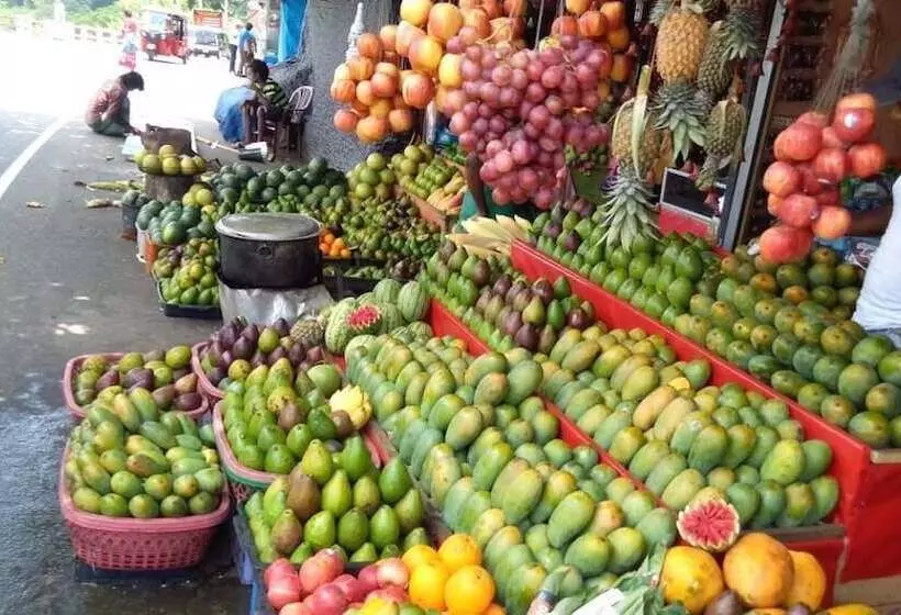 Green Tulip Hotel Kandy