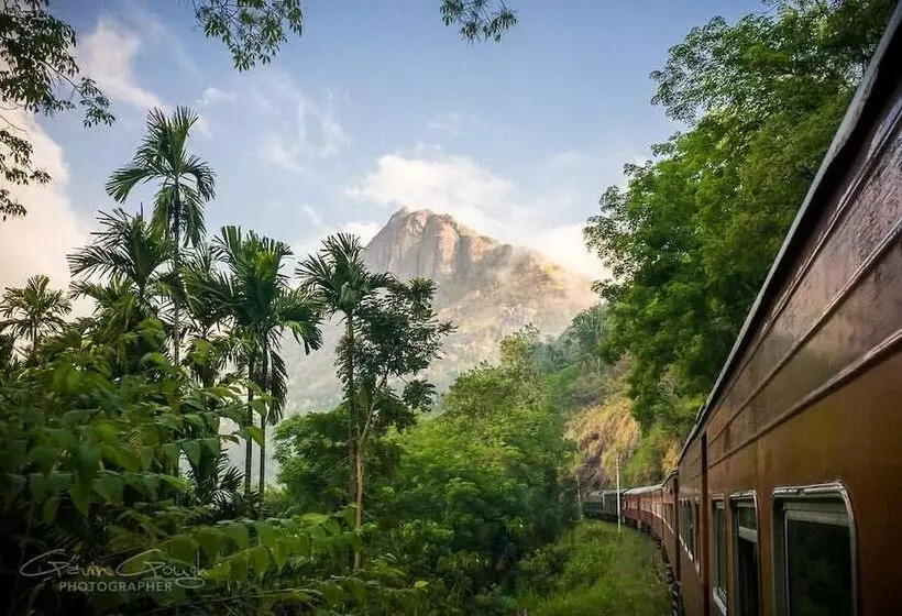Green Tulip Hotel Kandy