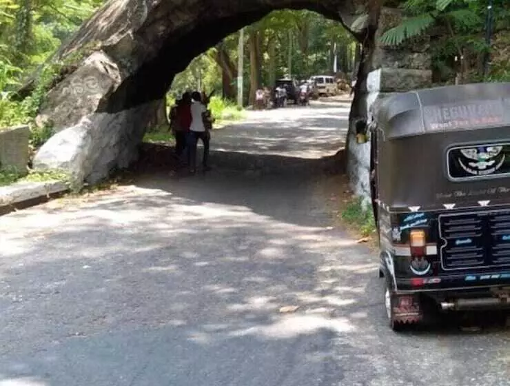 Green Tulip Hotel Kandy