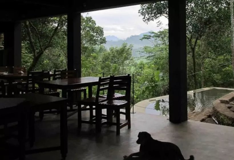 ホテル Bandura Kalawana Rainforest Bungalow