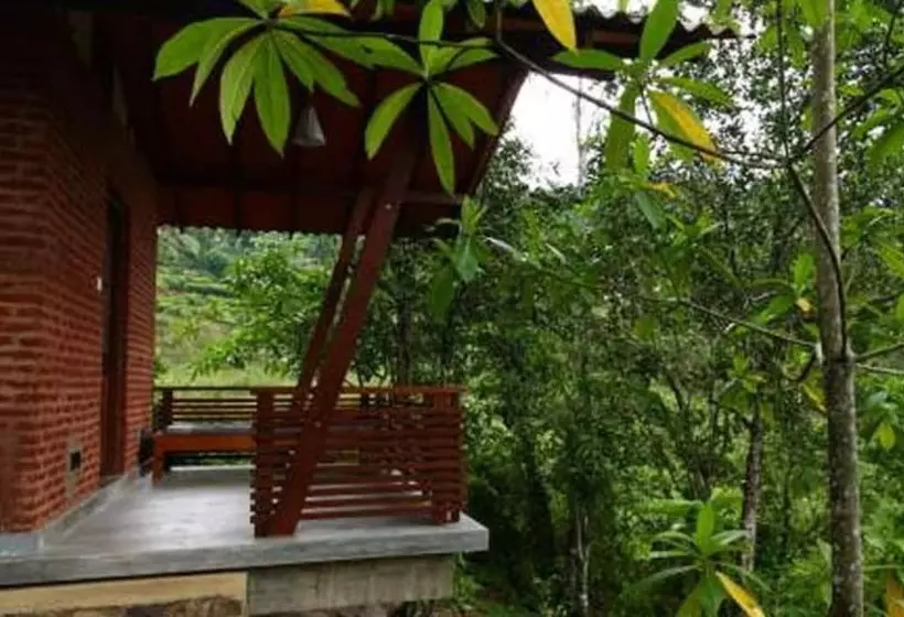 ホテル Bandura Kalawana Rainforest Bungalow