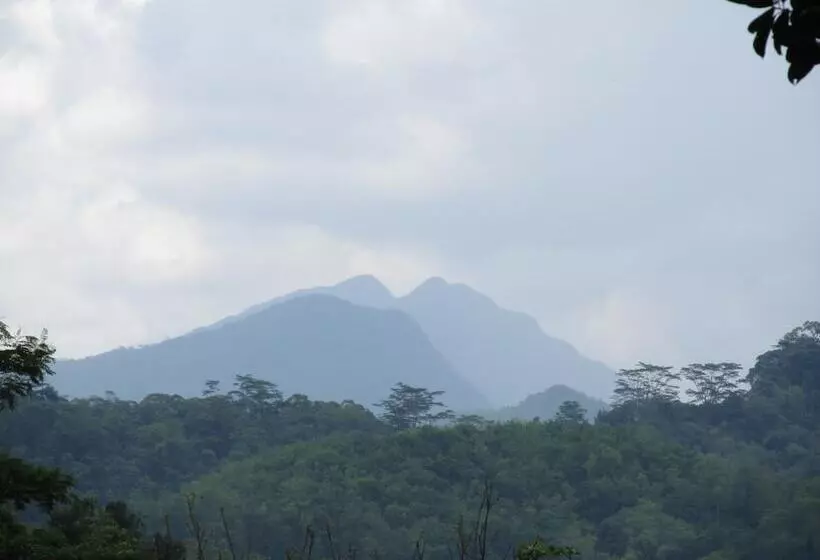 ホテル Bandura Kalawana Rainforest Bungalow