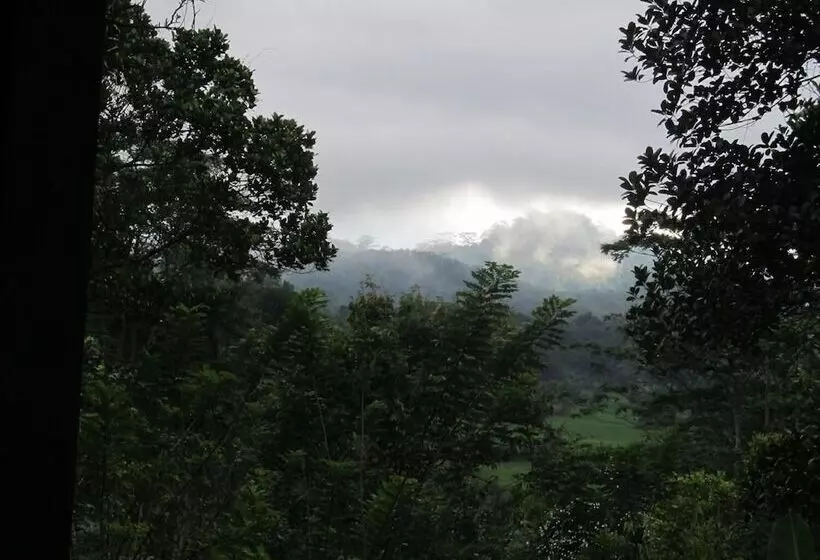 ホテル Bandura Kalawana Rainforest Bungalow