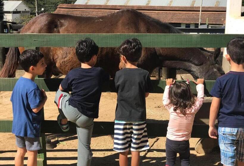 Отель Pousada Nova Gironda