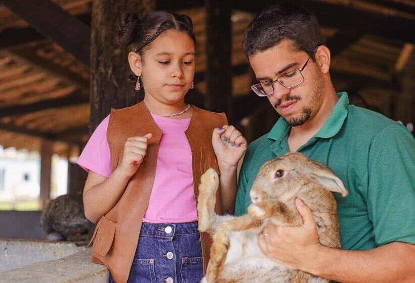 Отель Pousada Nova Gironda