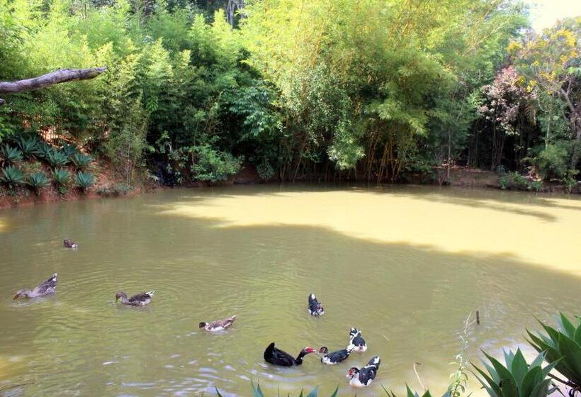 Отель Pousada Nova Gironda