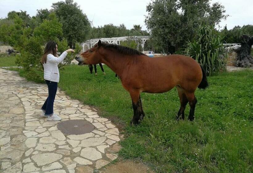 乡村酒店  Bioagriturismo Masseria Sciaiani Piccola