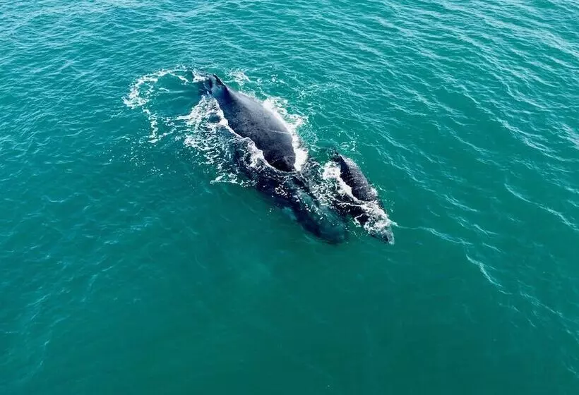 Hotelli Travessia Beach Lodge