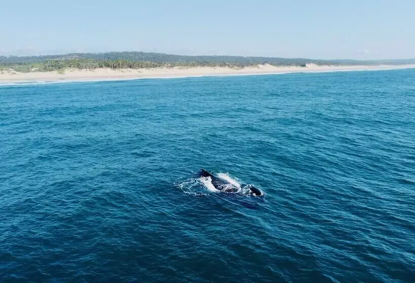 Hotelli Travessia Beach Lodge