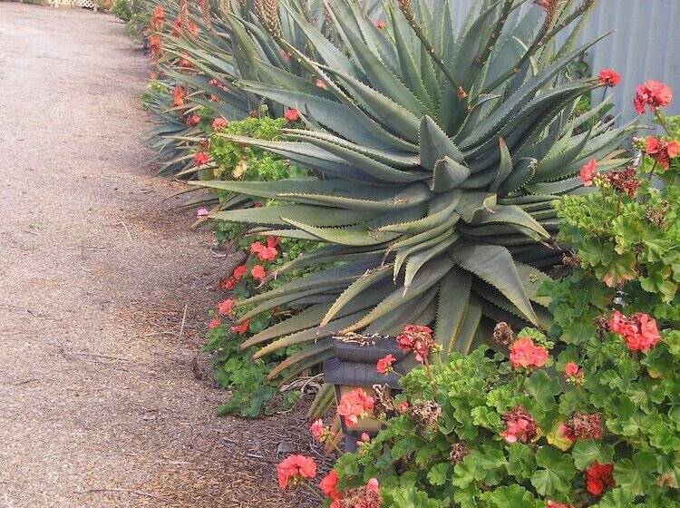 Moonta Bay Accommodation