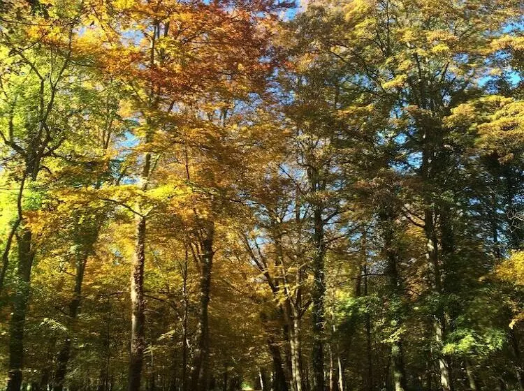 Majatalo Château De Montabert