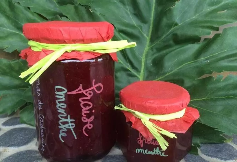 ペンション Mas Du Cadranier