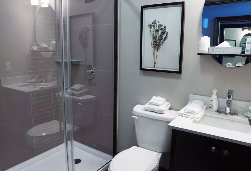 Lomakeskus The Wilds At Salmonier River