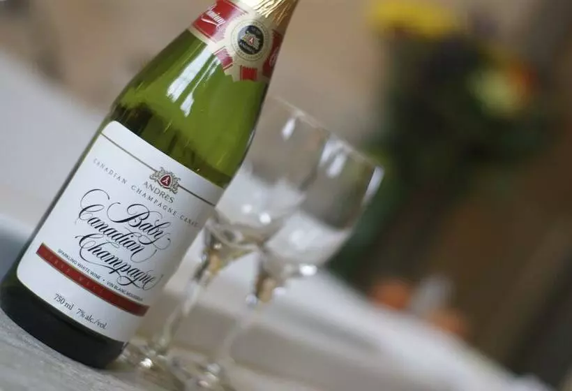 Lomakeskus The Wilds At Salmonier River