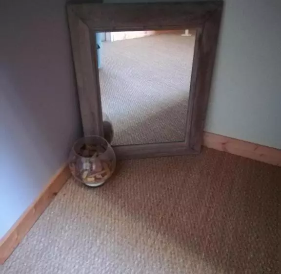 Aamiaismajoitus (B&B) Escampette