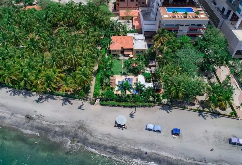 Casa Verano Beach Hotel   Adults Only