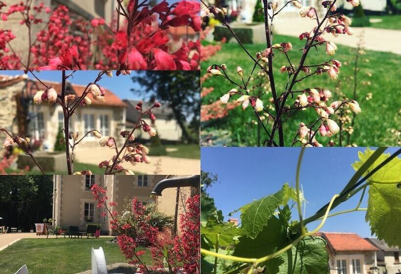 ホテル L Orangerie Du Chateau Des Cedres