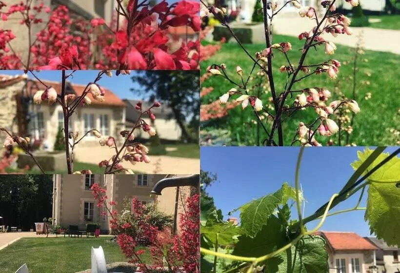 ホテル L Orangerie Du Chateau Des Cedres
