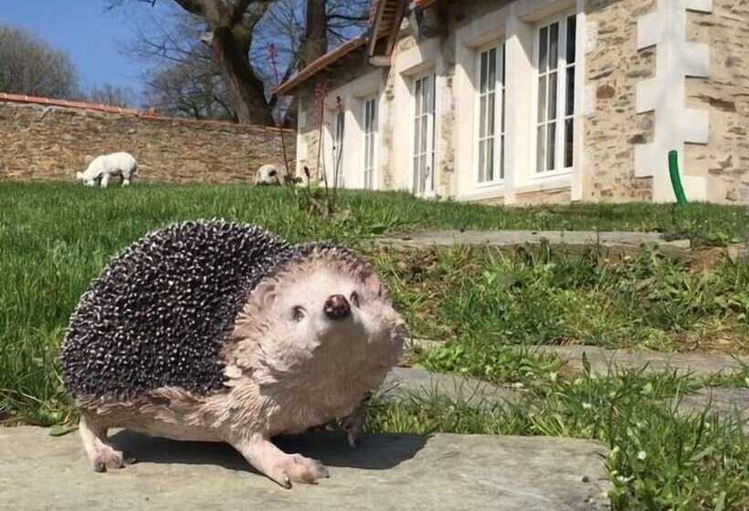 ホテル L Orangerie Du Chateau Des Cedres