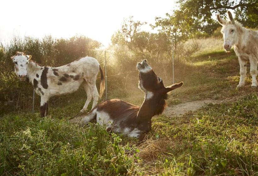 فندق ريفى Agriturismo Ca' Del Ciuco