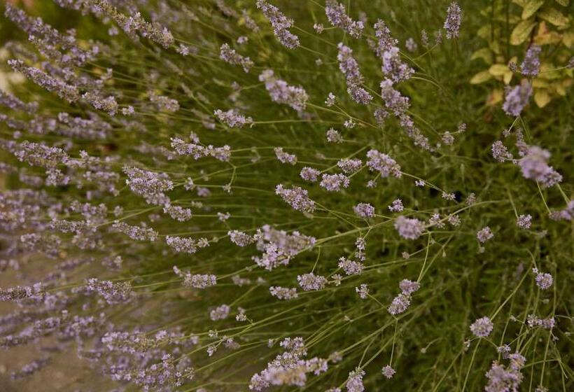 فندق ريفى Agriturismo Ca' Del Ciuco