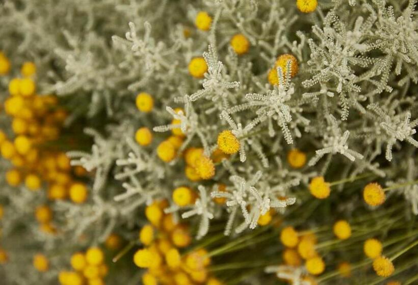 فندق ريفى Agriturismo Ca' Del Ciuco