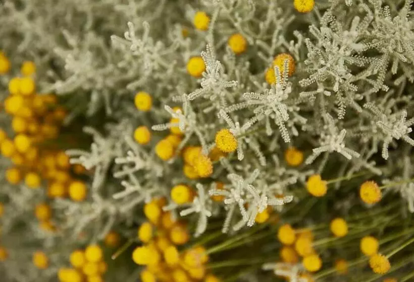 Maaseutuhotelli Agriturismo Ca' Del Ciuco