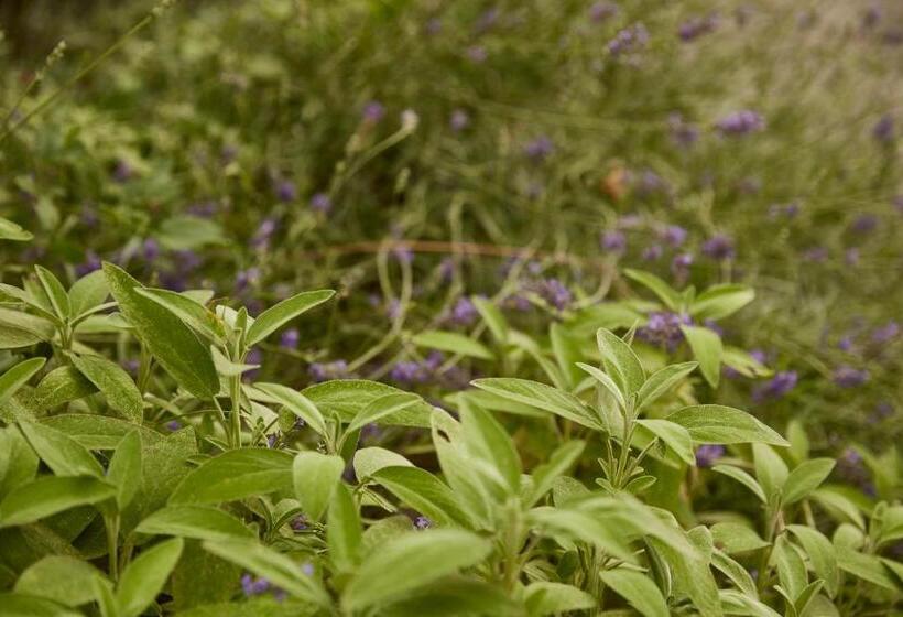 فندق ريفى Agriturismo Ca' Del Ciuco