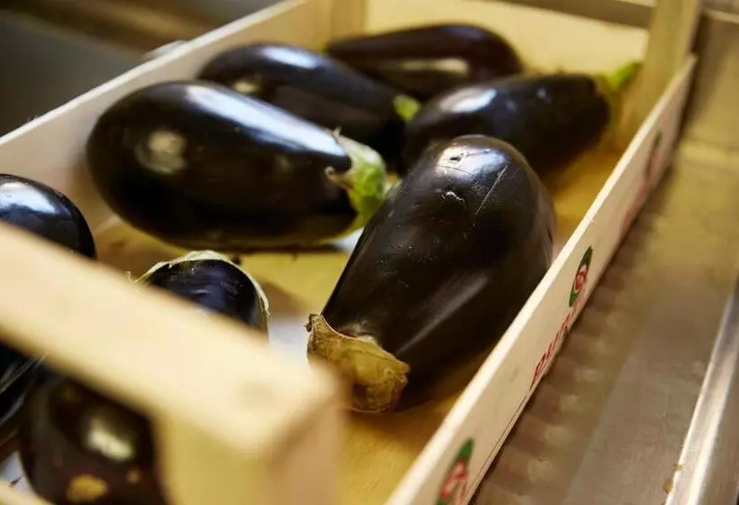 Maaseutuhotelli Agriturismo Ca' Del Ciuco