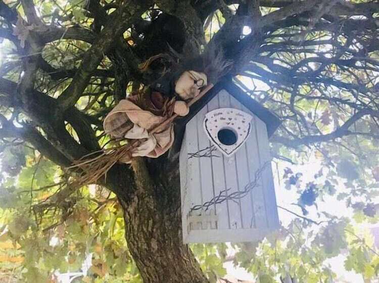 پانسیون Chambres D Hôtes Aux Deux Cigognes