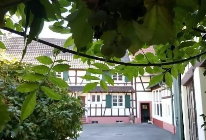 ペンション Chambres D Hôtes Aux Deux Cigognes