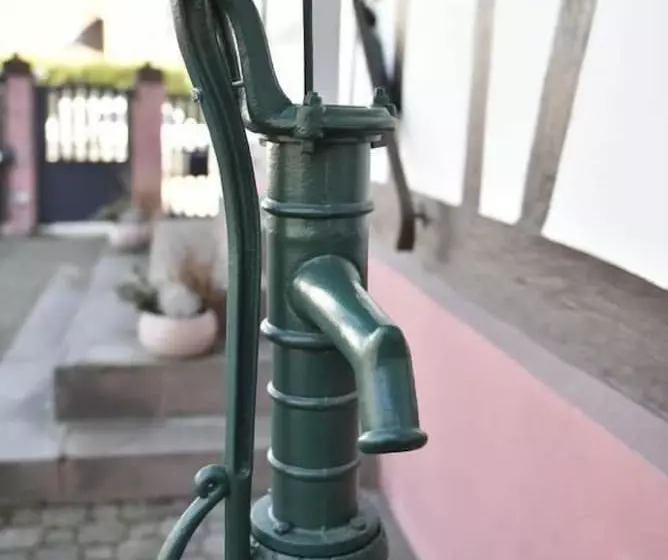 ペンション Chambres D Hôtes Aux Deux Cigognes