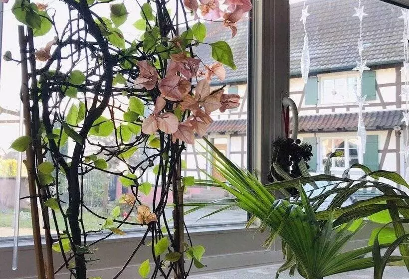 ペンション Chambres D Hôtes Aux Deux Cigognes