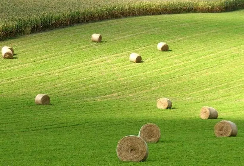 Majatalo Domaine Du Grand Tourtre