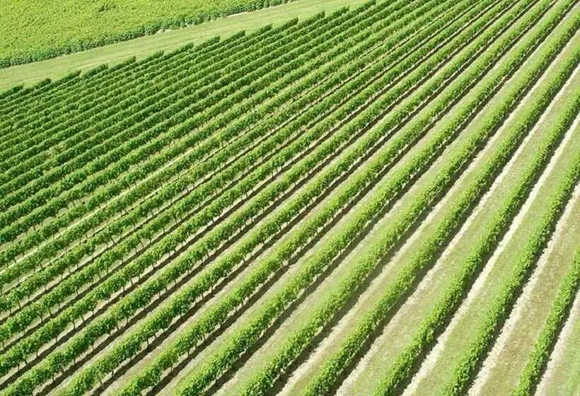 Majatalo Domaine Du Grand Tourtre