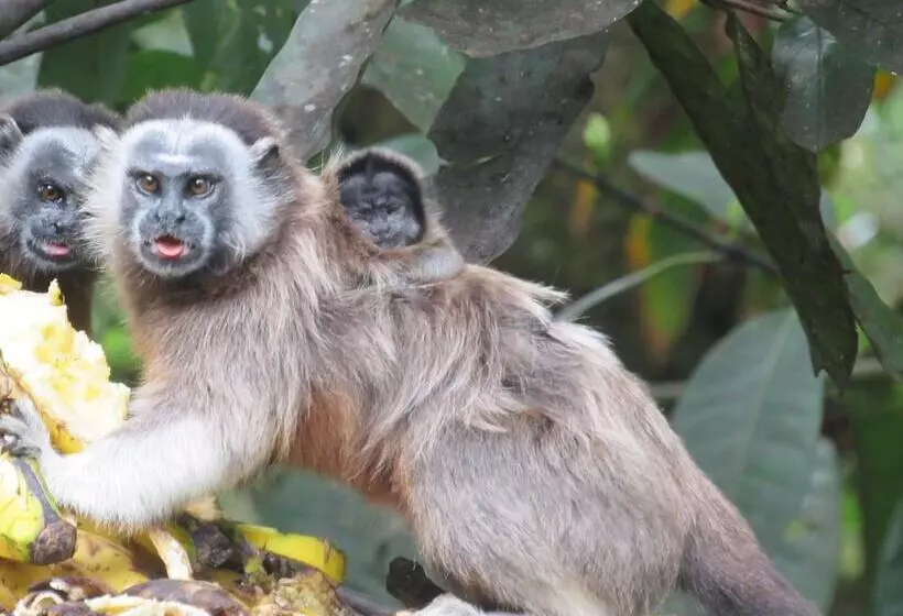 Majatalo Vista Hermosa