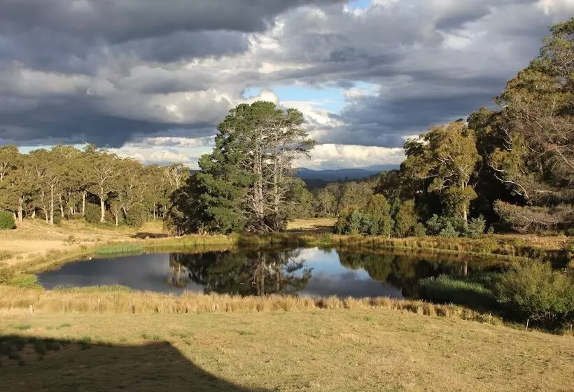 Wines For Joanie Cottage