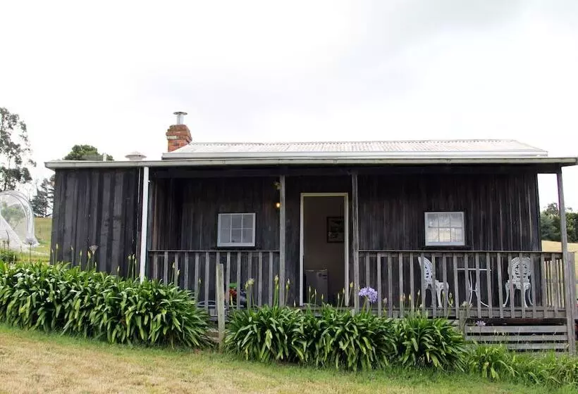 Wines For Joanie Cottage