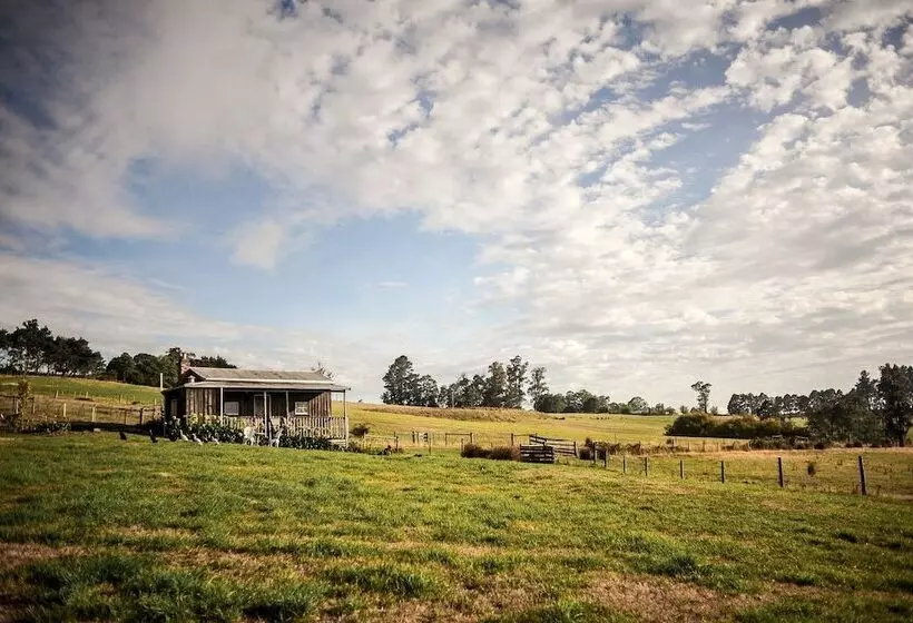 Wines For Joanie Cottage