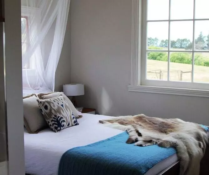 Wines For Joanie Cottage