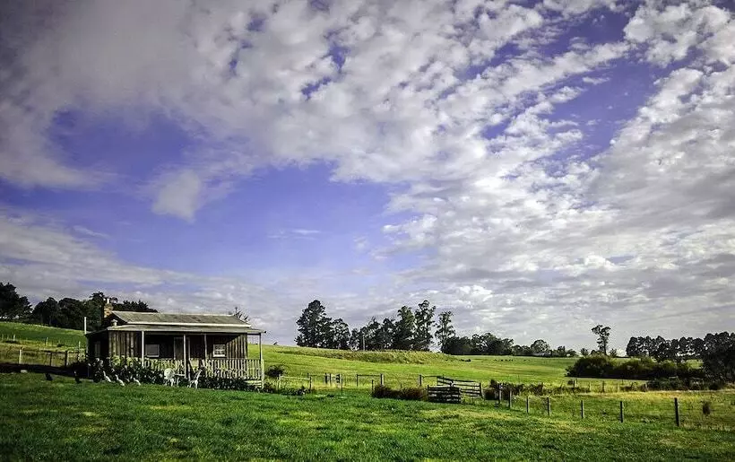 Wines For Joanie Cottage