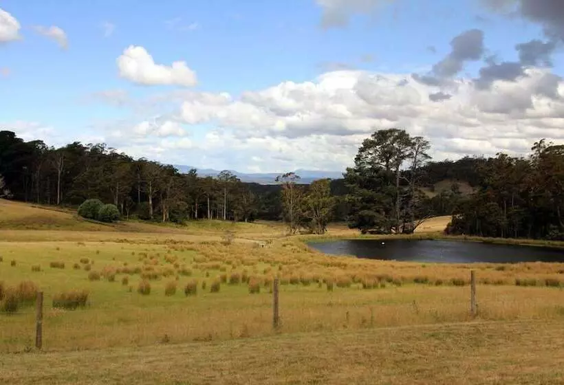 Wines For Joanie Cottage