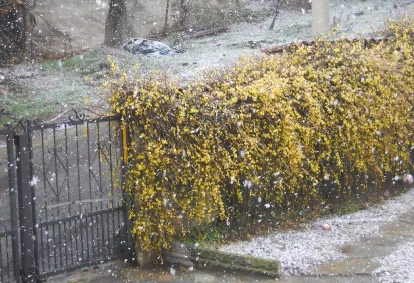 Bed and Breakfast Casa Clotilde