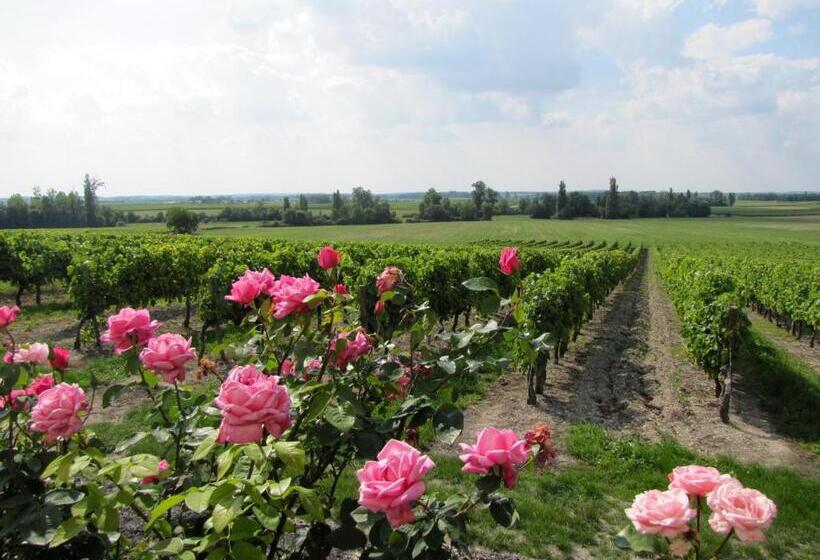 צימר Chambre D Hôtes Clos Des Pierres Blanches