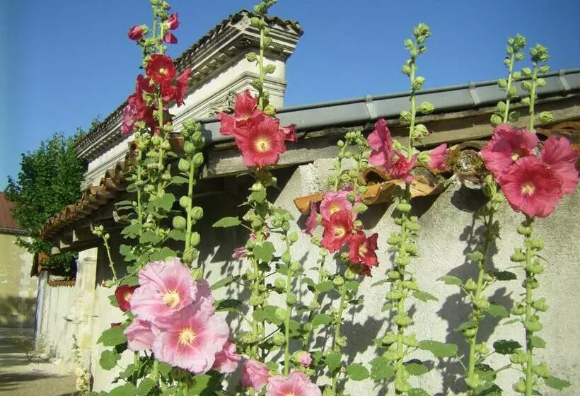 Aamiaismajoitus (B&B) Chambre D Hôtes Clos Des Pierres Blanches
